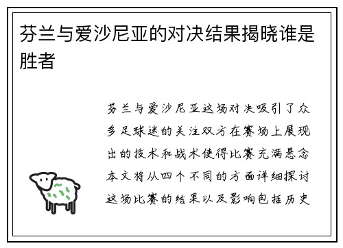 芬兰与爱沙尼亚的对决结果揭晓谁是胜者